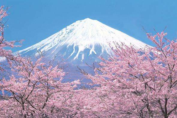 东京-富士山 东京-富士山